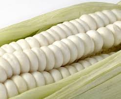 MILHO BRANCO1.jpg